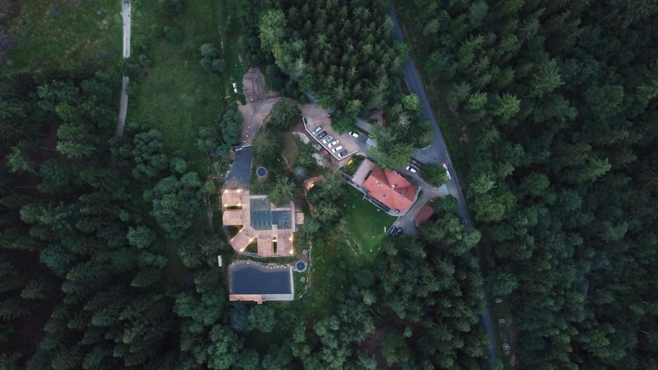 Drewniana Roza Willa Karkonosze Piechowice  Exteriér fotografie