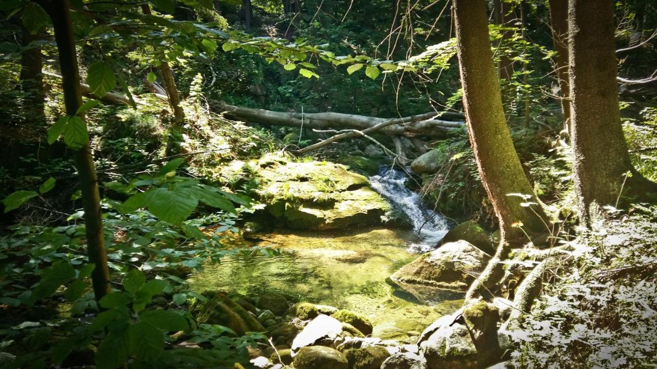 Drewniana Roza Willa Karkonosze Piechowice  Exteriér fotografie