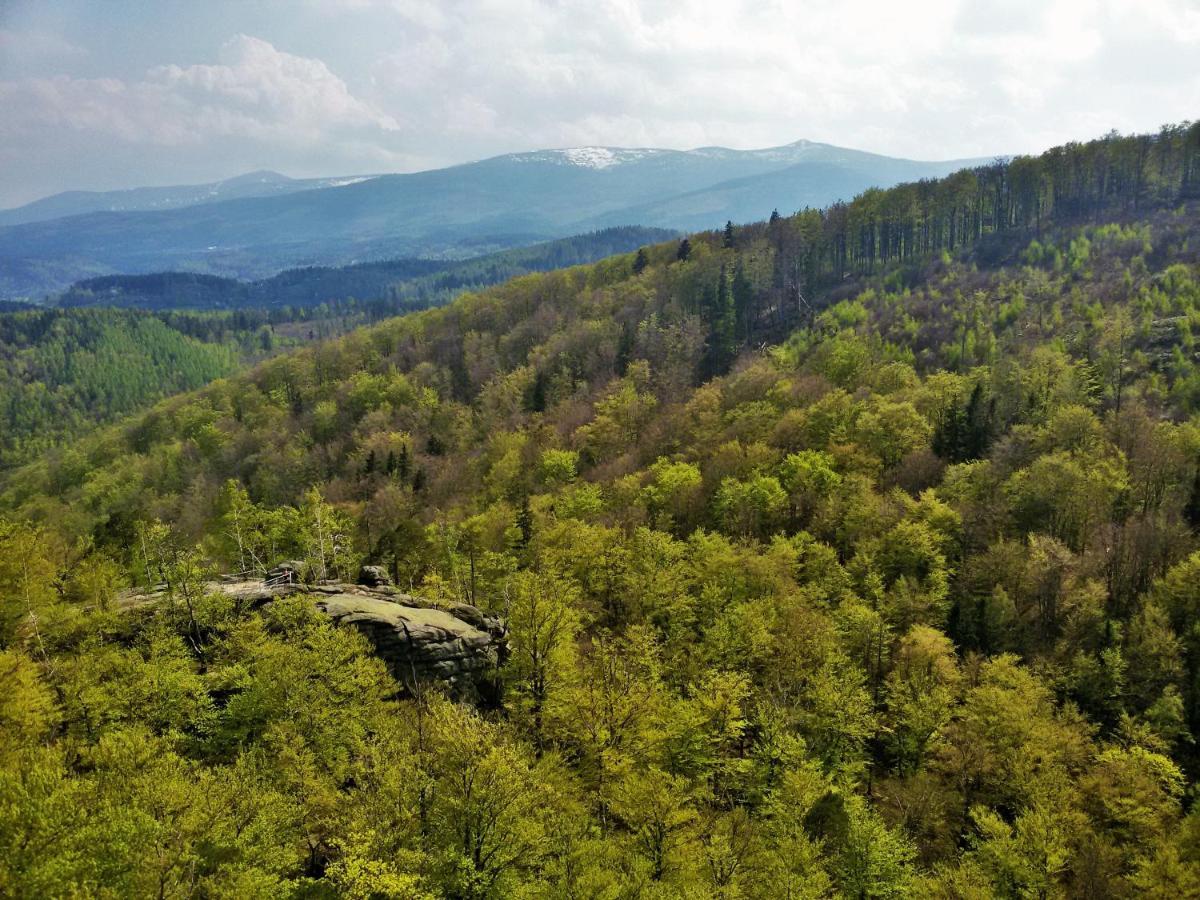 Drewniana Roza Willa Karkonosze Piechowice  Exteriér fotografie