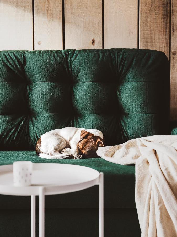 Drewniana Roza Willa Karkonosze Piechowice  Exteriér fotografie